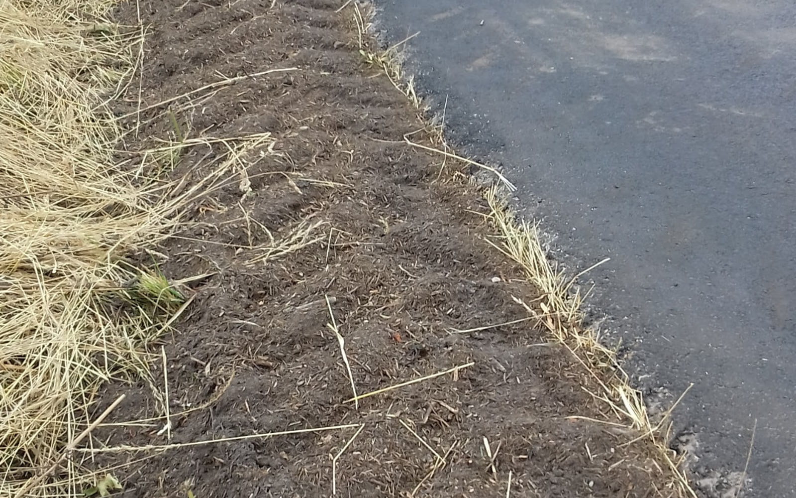 Nieuw aangelegde landelijke weg met afgewerkte berm